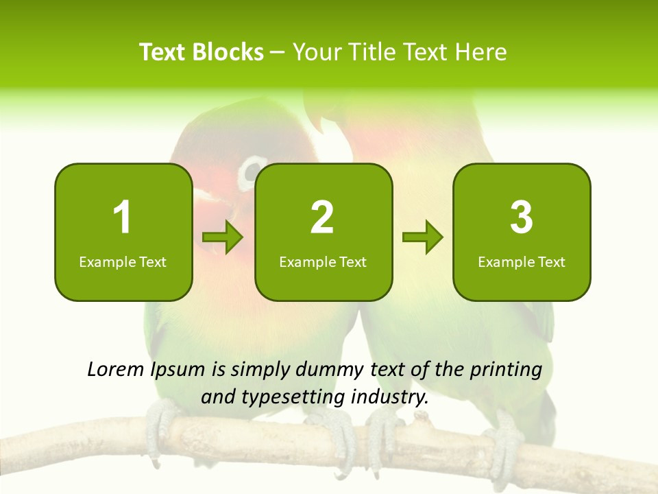 Female Elderly  PowerPoint Template