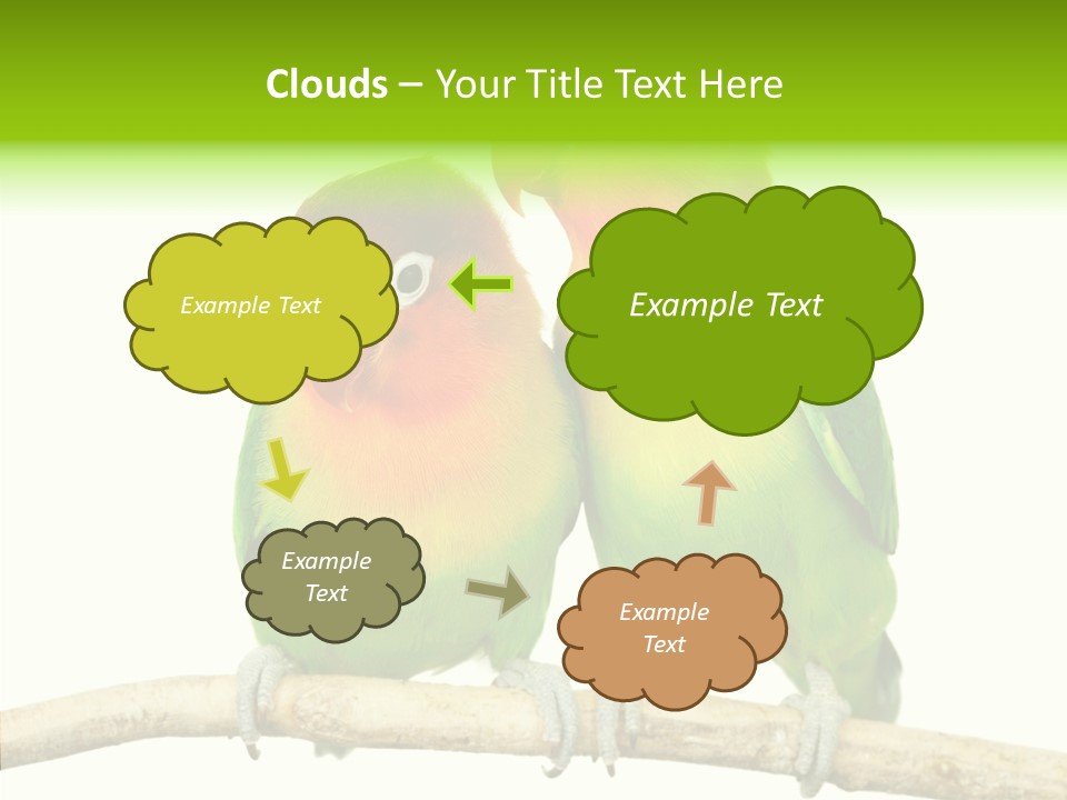 Female Elderly  PowerPoint Template