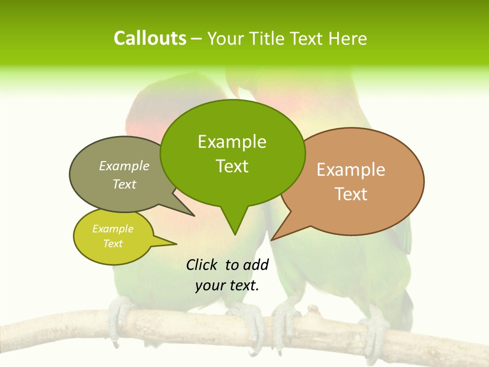 Female Elderly  PowerPoint Template