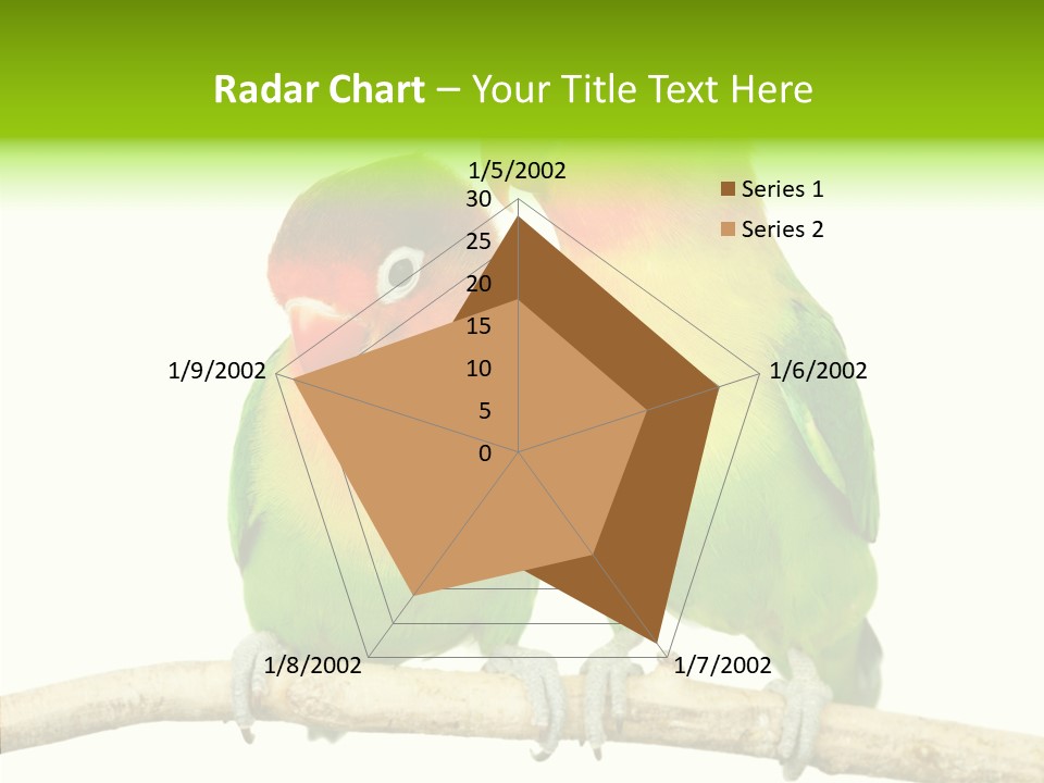 Female Elderly  PowerPoint Template