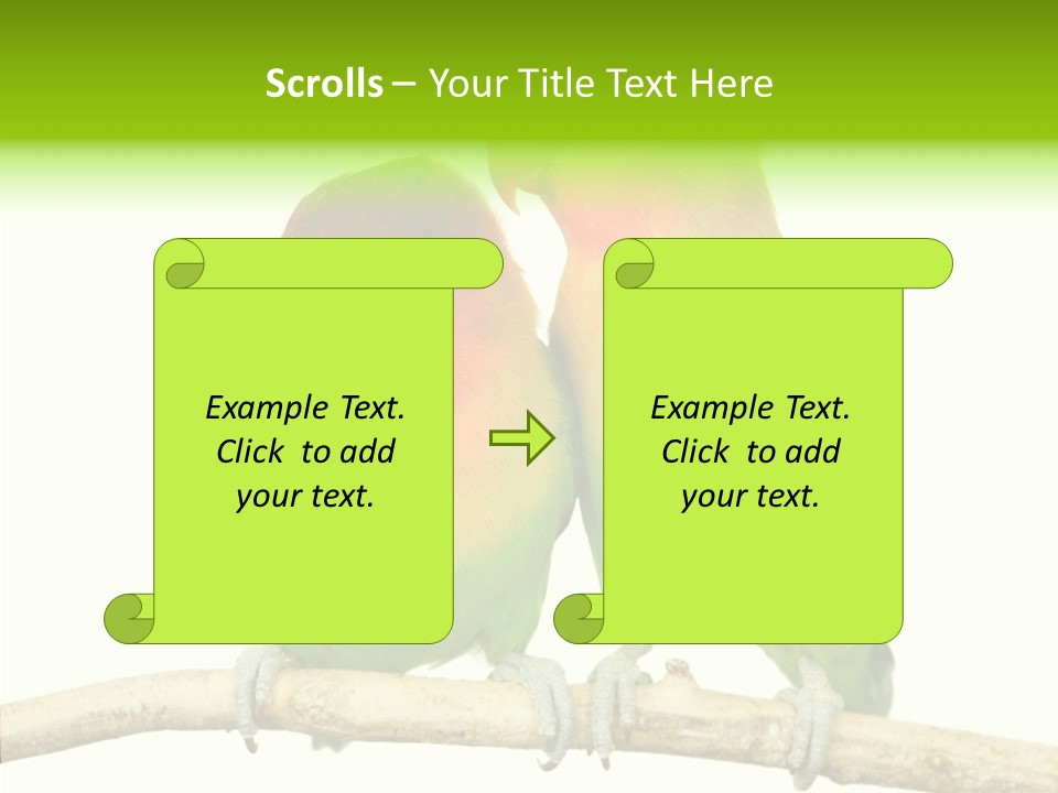 Female Elderly  PowerPoint Template