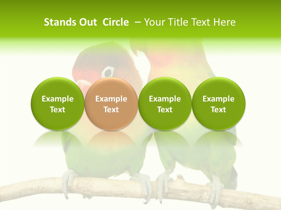 Female Elderly  PowerPoint Template