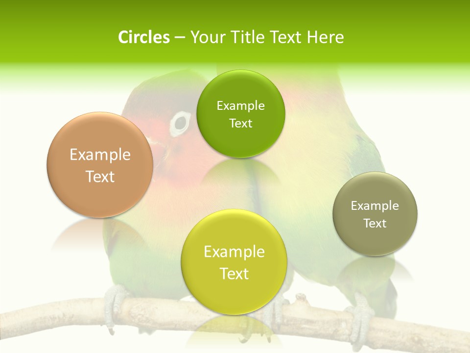 Female Elderly  PowerPoint Template