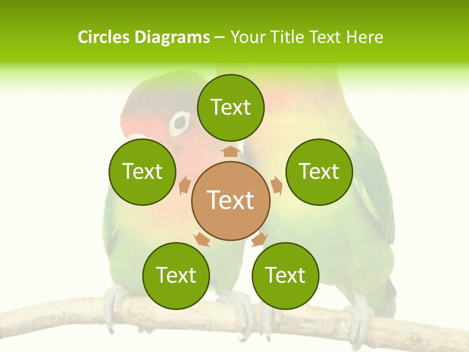 Female Elderly  PowerPoint Template