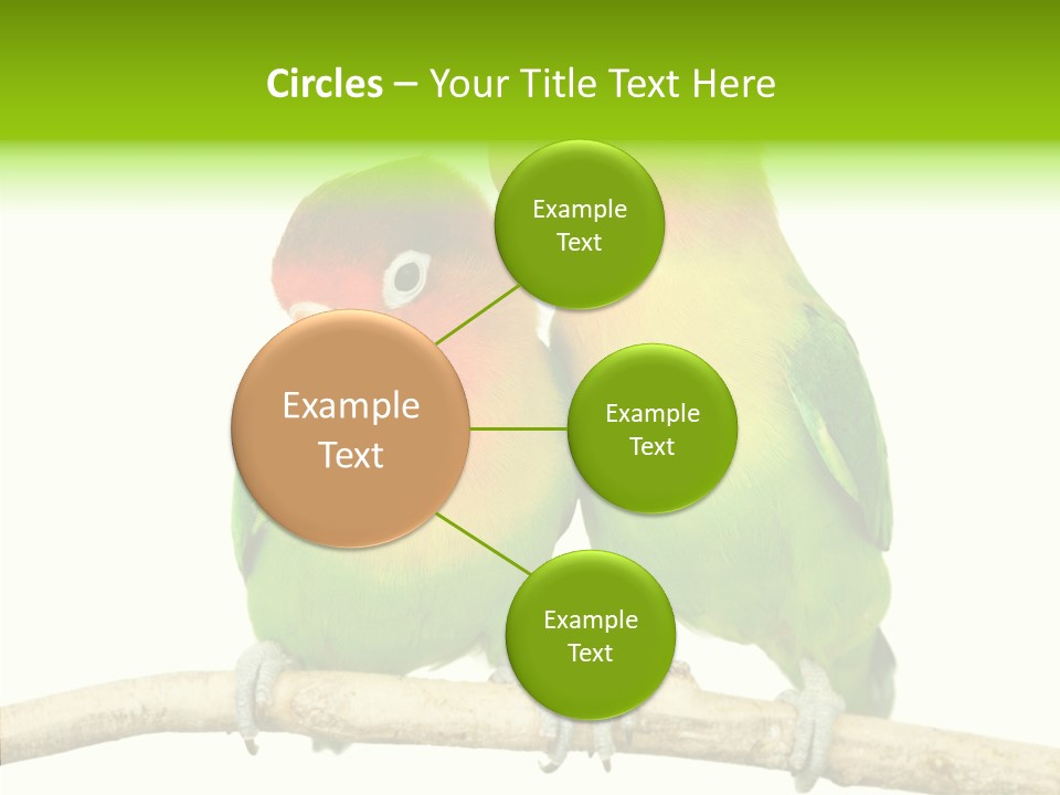 Female Elderly  PowerPoint Template