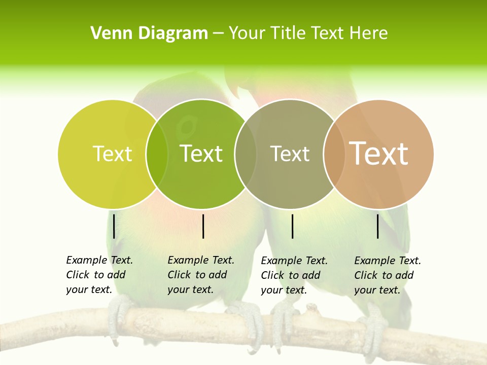 Female Elderly  PowerPoint Template