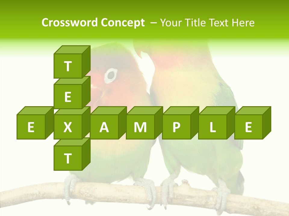 Female Elderly  PowerPoint Template