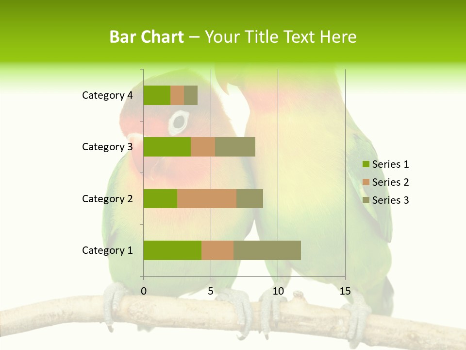 Female Elderly  PowerPoint Template