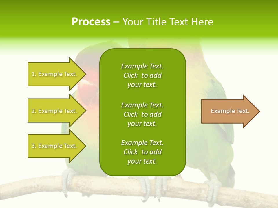Female Elderly  PowerPoint Template