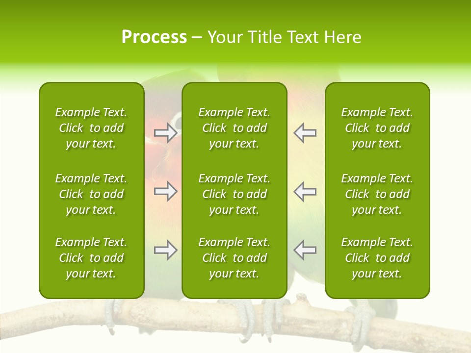 Female Elderly  PowerPoint Template