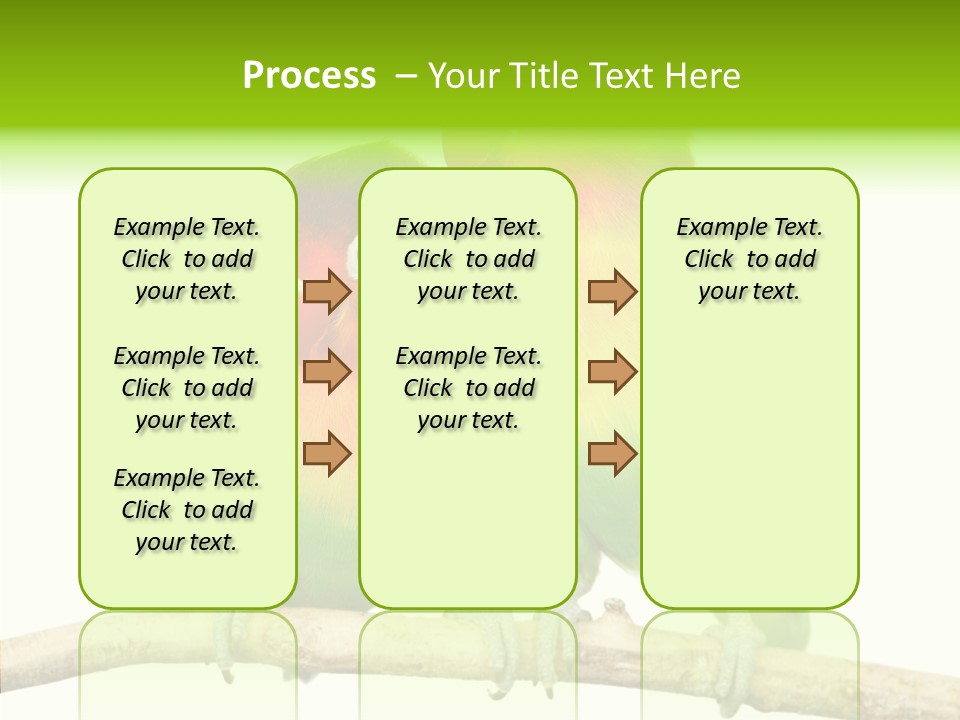 Female Elderly  PowerPoint Template