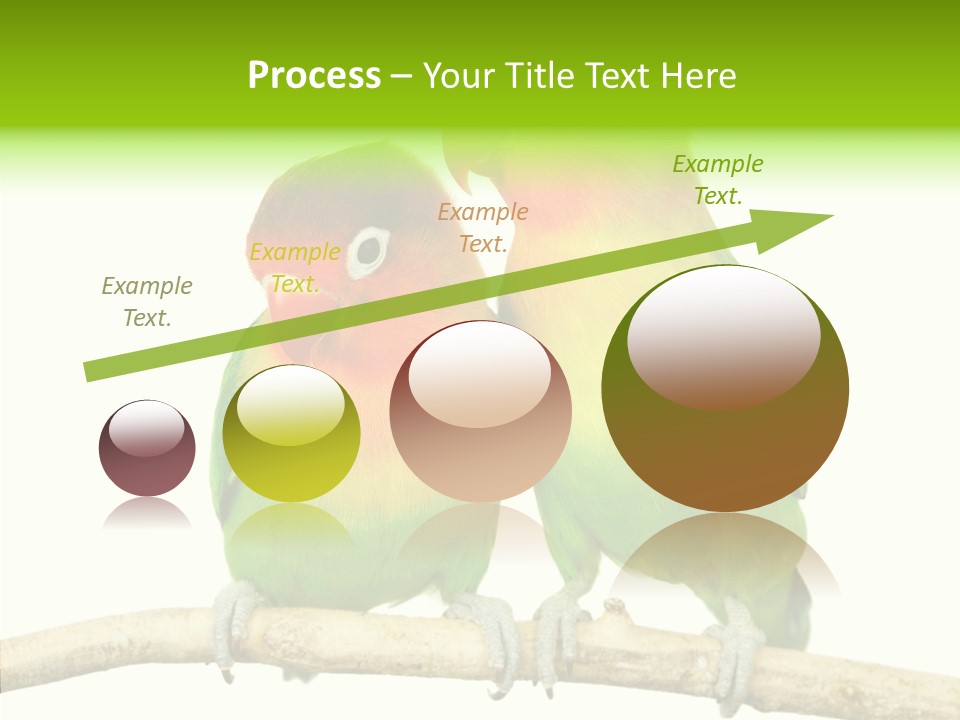 Female Elderly  PowerPoint Template