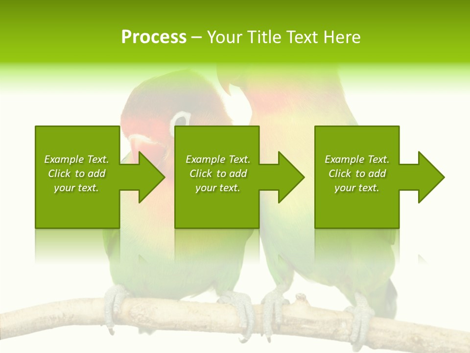 Female Elderly  PowerPoint Template