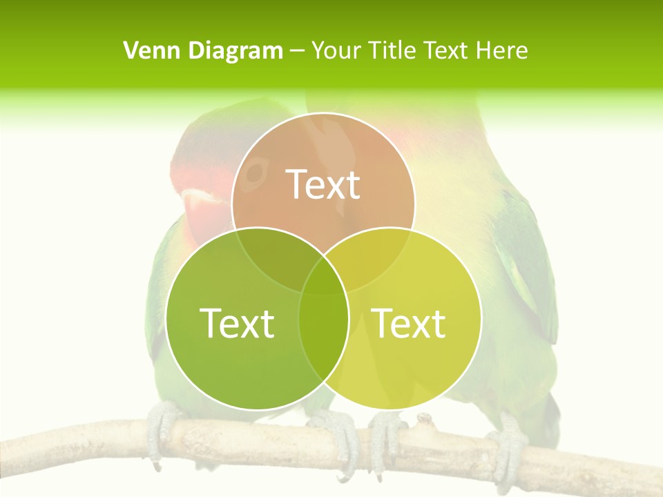 Female Elderly  PowerPoint Template