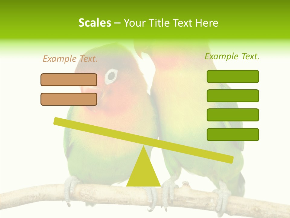 Female Elderly  PowerPoint Template