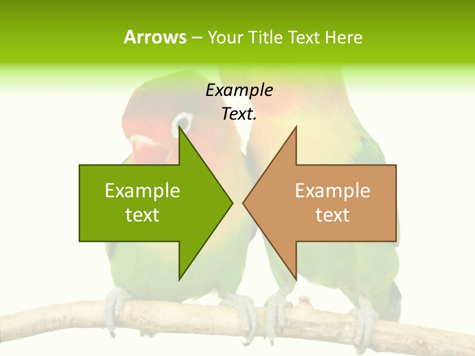 Female Elderly  PowerPoint Template