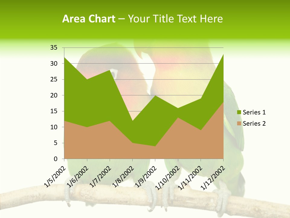 Female Elderly  PowerPoint Template