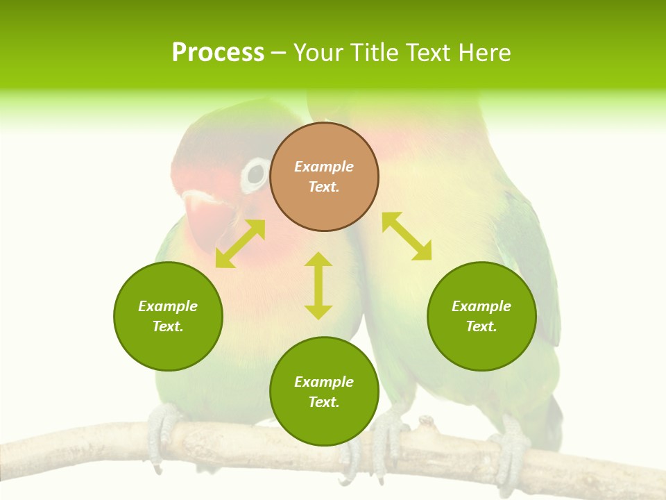 Female Elderly  PowerPoint Template