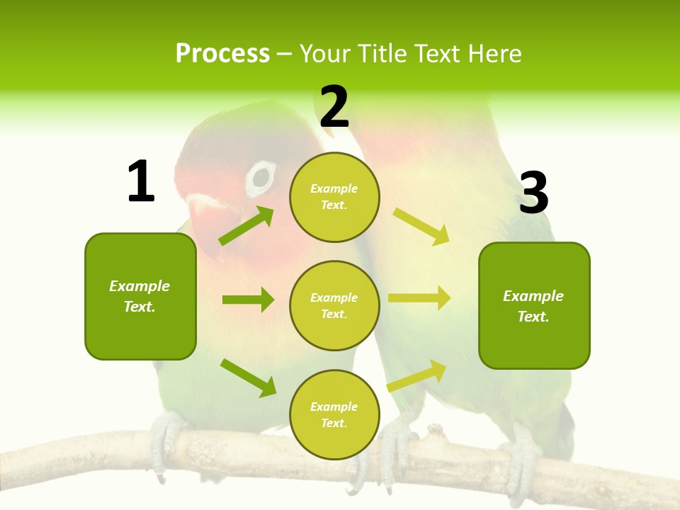 Female Elderly  PowerPoint Template
