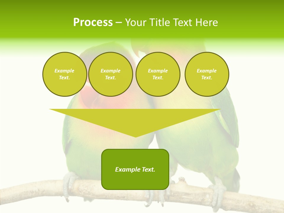 Female Elderly  PowerPoint Template