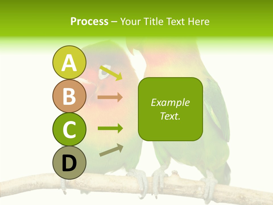 Female Elderly  PowerPoint Template