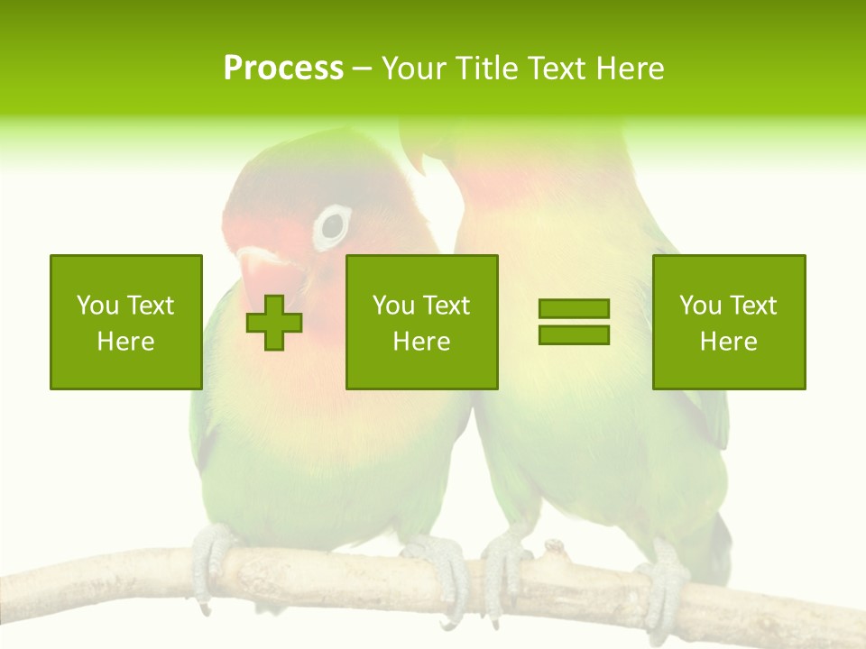 Female Elderly  PowerPoint Template