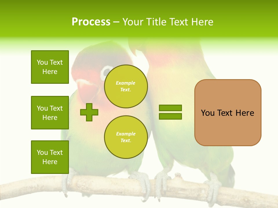 Female Elderly  PowerPoint Template