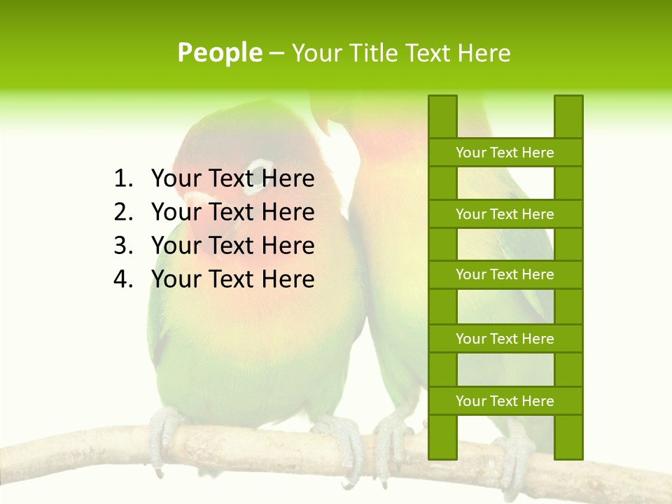 Female Elderly  PowerPoint Template