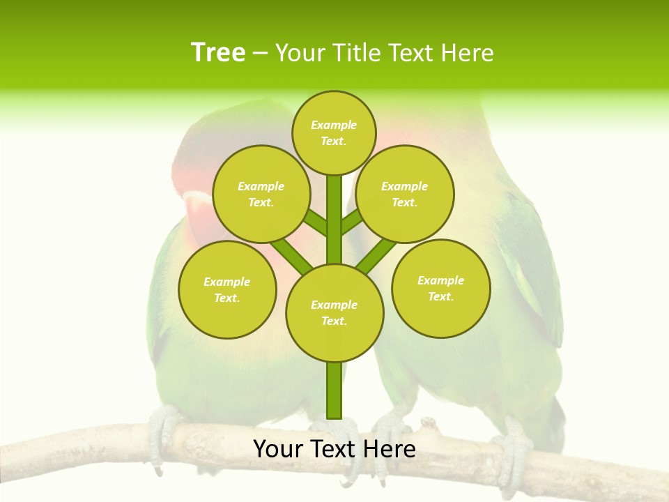 Female Elderly  PowerPoint Template