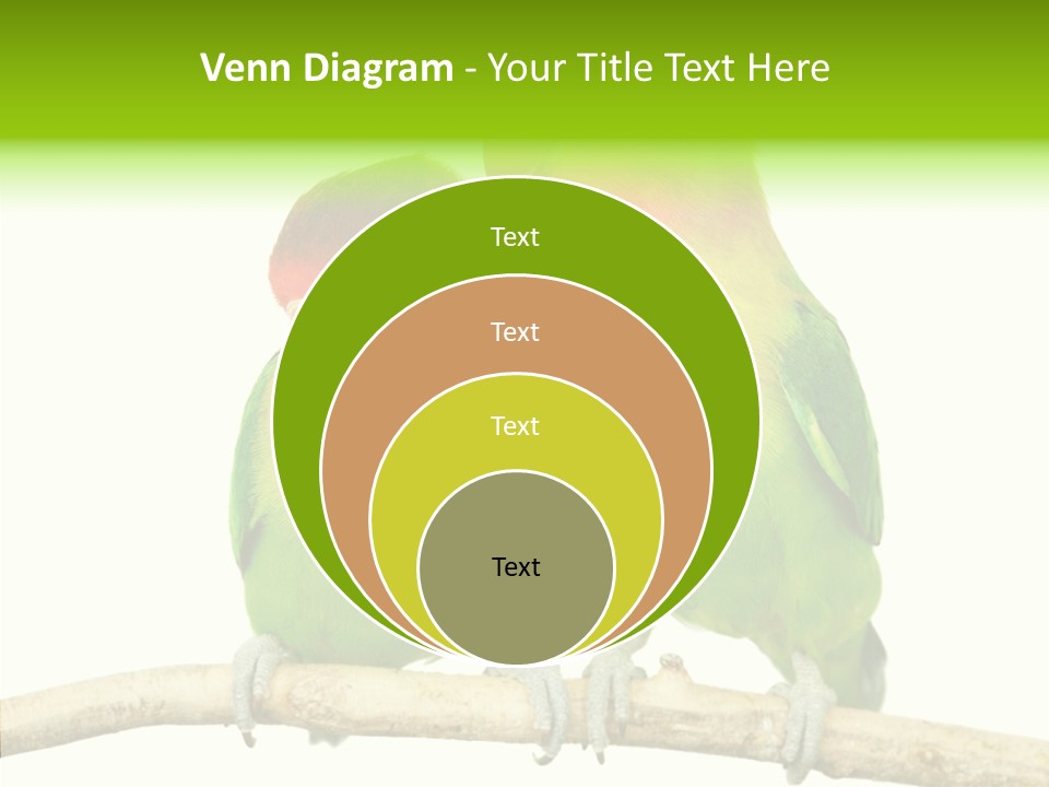 Female Elderly  PowerPoint Template