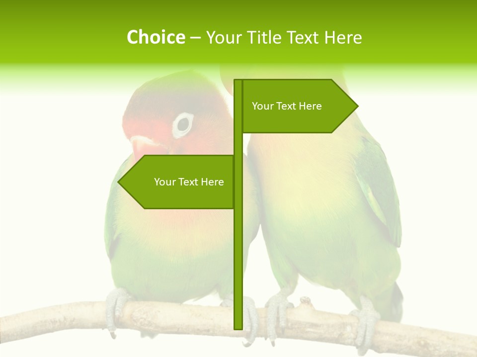 Female Elderly  PowerPoint Template