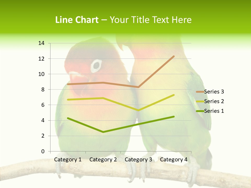 Female Elderly  PowerPoint Template