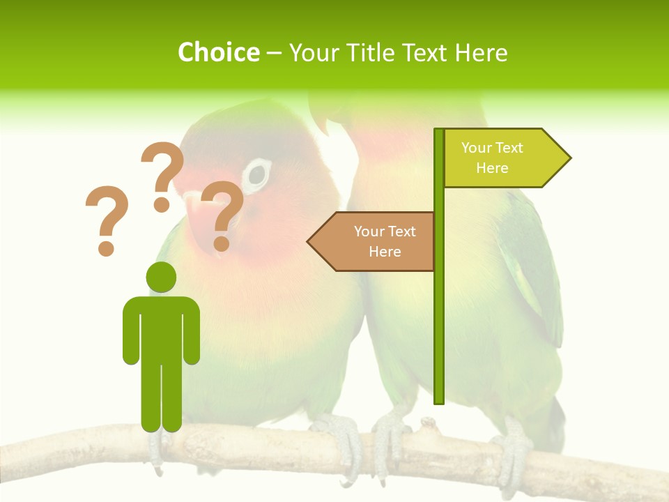 Female Elderly  PowerPoint Template