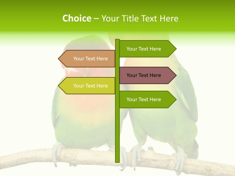 Female Elderly  PowerPoint Template