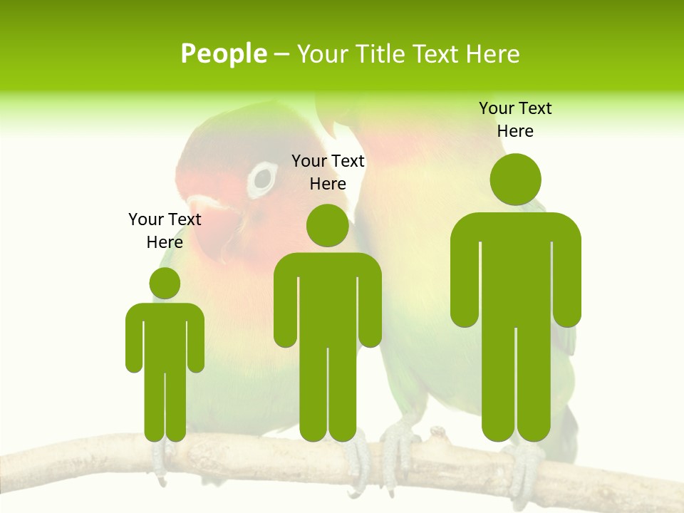 Female Elderly  PowerPoint Template