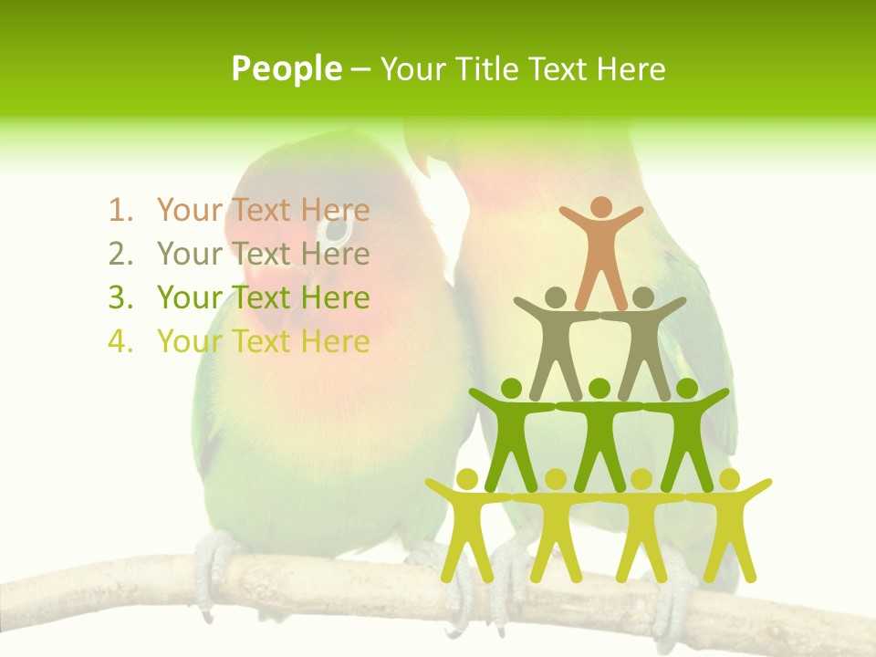 Female Elderly  PowerPoint Template