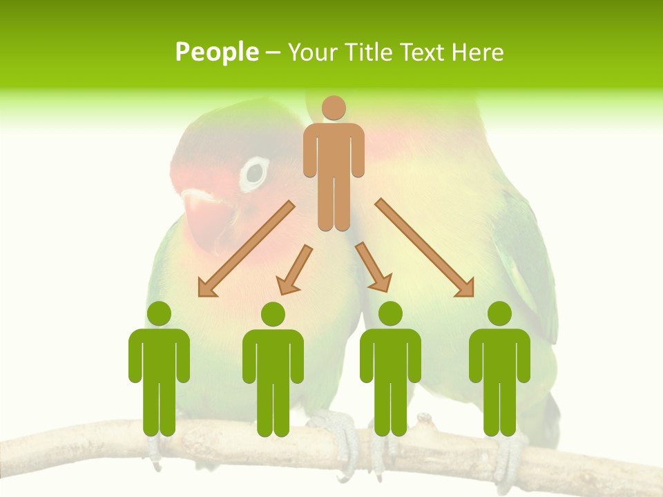 Female Elderly  PowerPoint Template