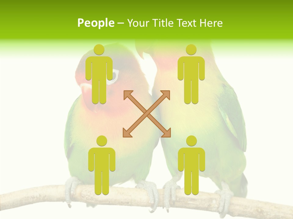 Female Elderly  PowerPoint Template