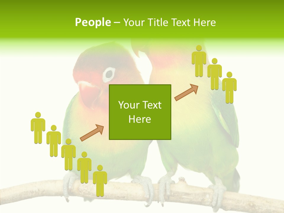 Female Elderly  PowerPoint Template