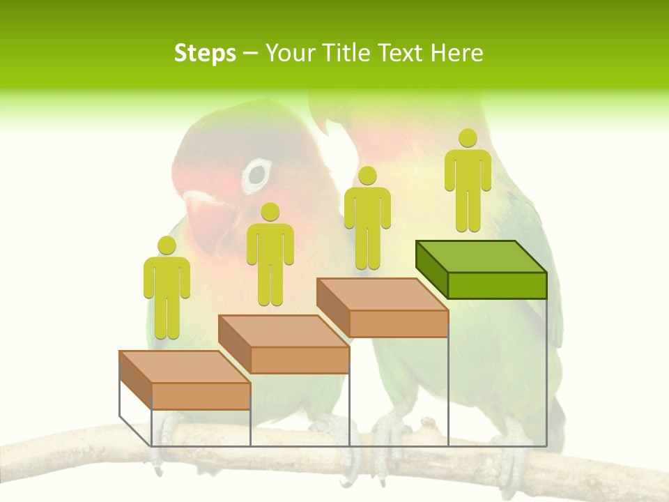 Female Elderly  PowerPoint Template