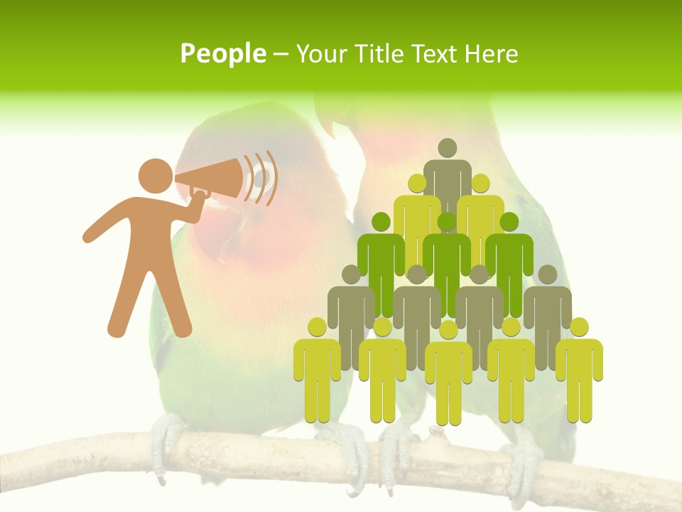 Female Elderly  PowerPoint Template