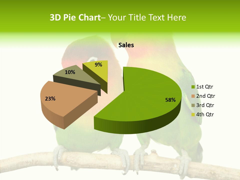 Female Elderly  PowerPoint Template