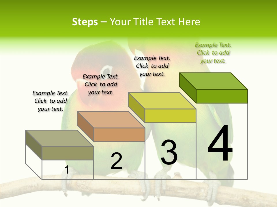 Female Elderly  PowerPoint Template