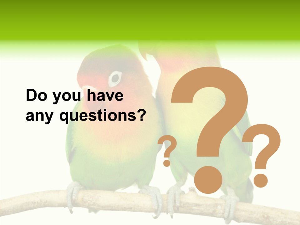 Female Elderly  PowerPoint Template