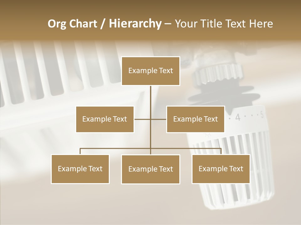 Closeup Women Holding Hands PowerPoint Template