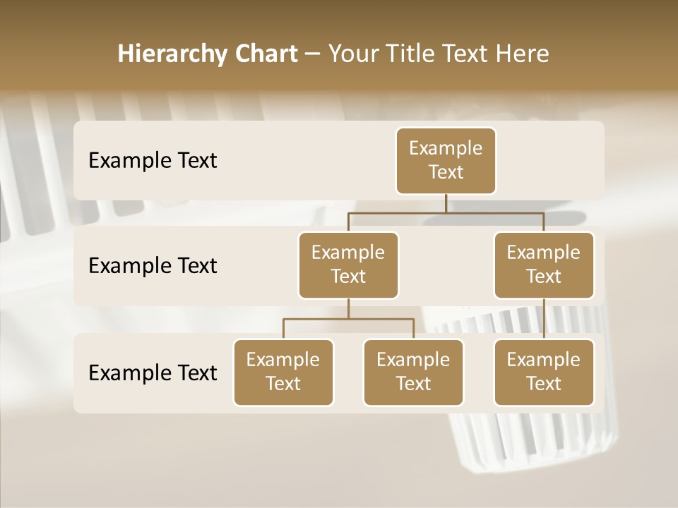 Closeup Women Holding Hands PowerPoint Template