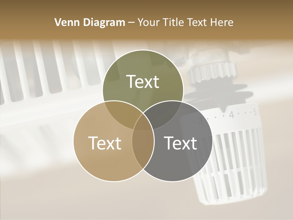 Closeup Women Holding Hands PowerPoint Template