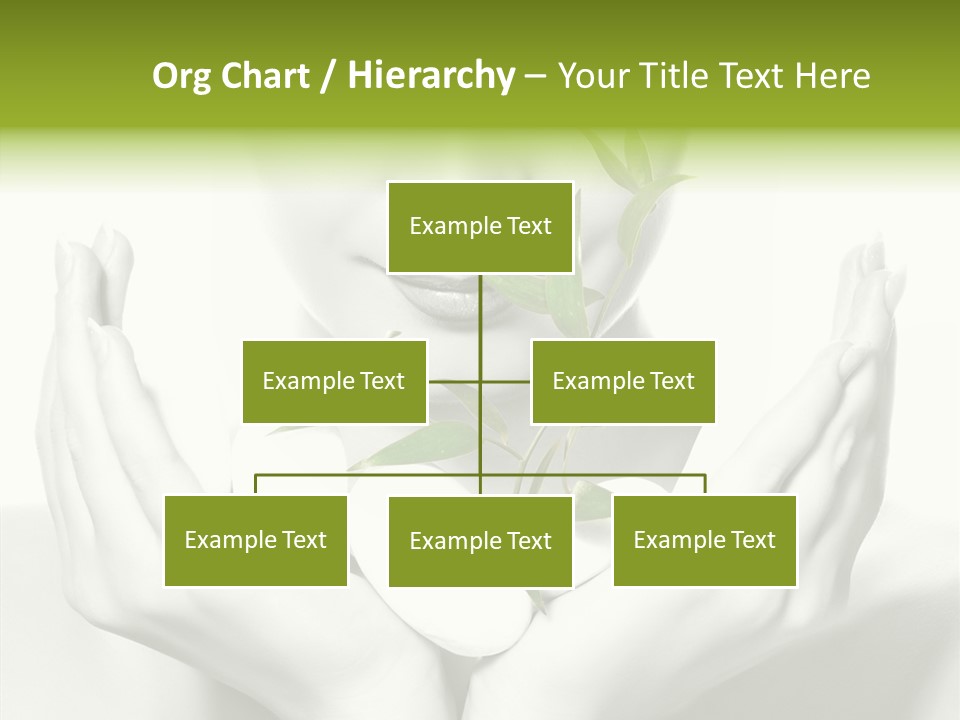 Young Closeup Human PowerPoint Template