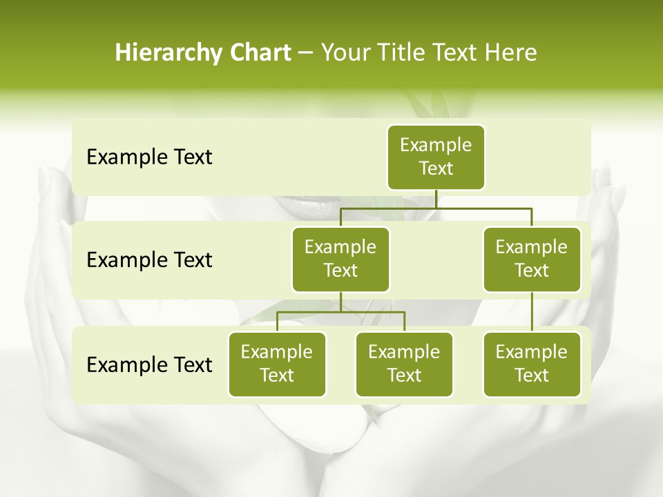 Young Closeup Human PowerPoint Template
