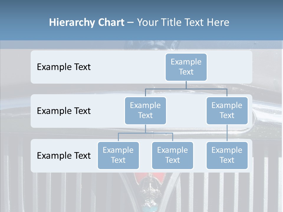 White Hand Senior PowerPoint Template